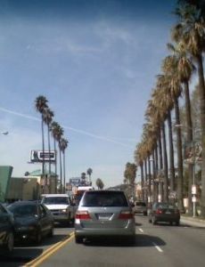 Sunset Boulevard