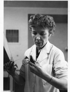 Mary Alice McWhinnie