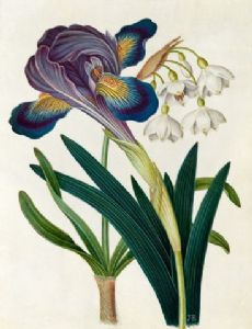 James Bolton