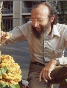 Jack Kiefer (mathematician)