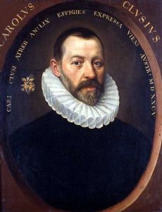Carolus Clusius