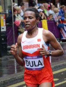 Lishan Dula