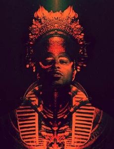 Shabazz Palaces