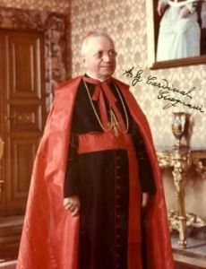 Amleto Giovanni Cicognani
