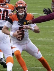 Ryan Finley