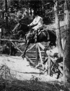 Bertie Hill