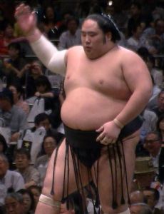Chiyoōtori Yūki
