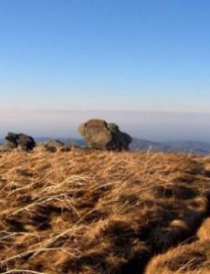Appalachian balds