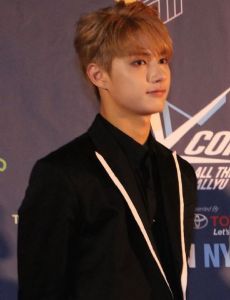 Wen Junhui