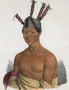 Waukon Decorah
