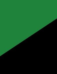 Anarcho-primitivism