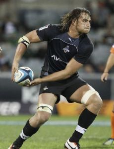 Wimpie van der Walt