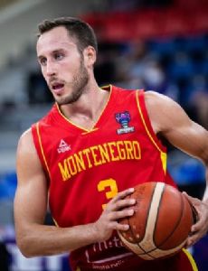 Vladimir Mihailovic