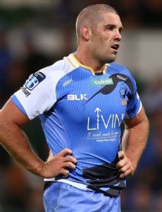 Matt Hodgson