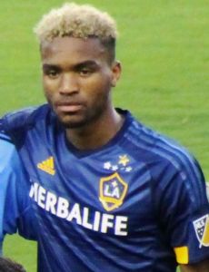 Bradford Jamieson IV