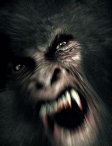 Sasquatch Hunters