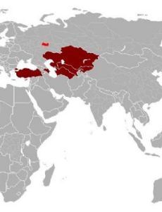International Organization of Turkic Culture