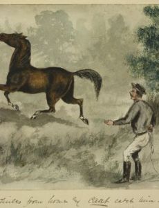 H. Bullock Webster
