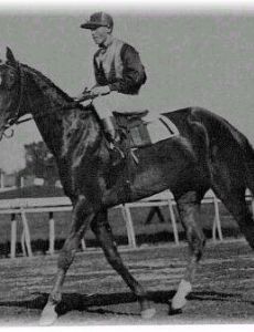 Frank O'Neill (jockey)
