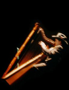 Dario Robayo