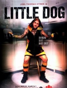 Little Dog