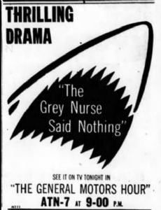 The Grey Nurse Said Nothing