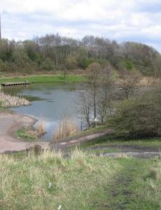 Baggeridge Country Park