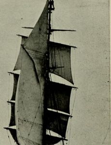 Robert Cushman Murphy