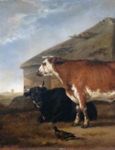 Abraham van Calraet
