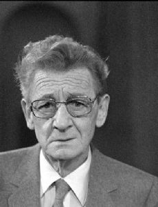 Simon Carmiggelt