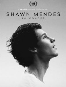 Shawn Mendes: Wonder