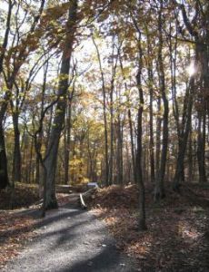 Fort Mill Ridge Civil War Trenches