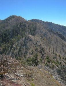 Windy Gap Trail (Angeles National Forest)
