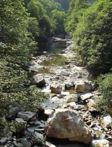 Strona (river)