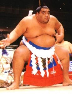 Musashimaru Kōyō