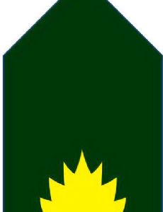 Abul Manzoor