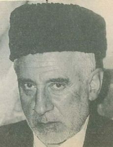 Saeed Amani