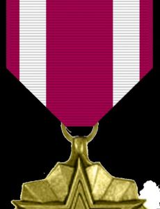 Meritorious Service Medal (United States)