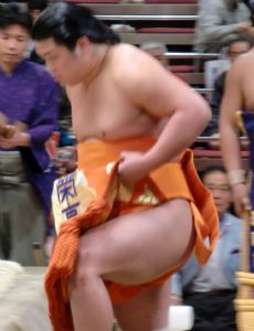 Myōgiryū Yasunari