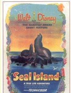 Seal Island