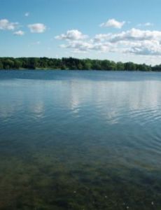 Lake Wilcox