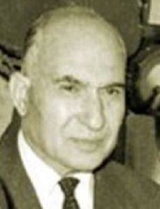 Mahmoud Fawzi
