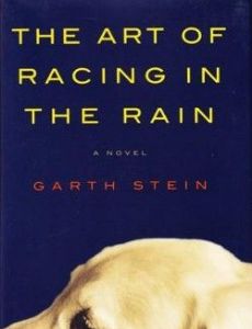The Art of Racing in the Rain
