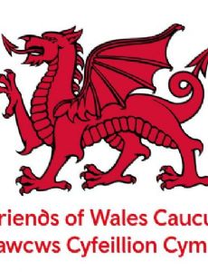 Friends of Wales Caucus