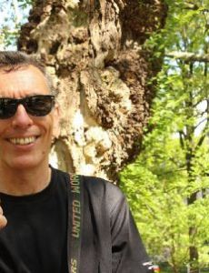 David McNally (professor)