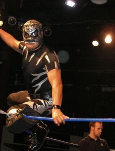 Pantera (wrestler)