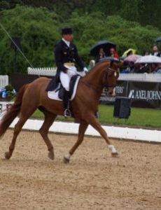 Patrik Kittel