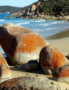 Wilsons Promontory National Park