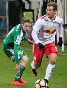 Niko Schneebauer