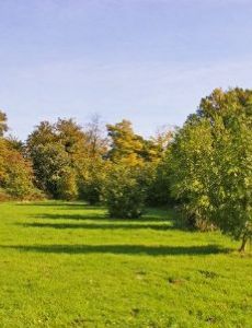 Trent Park